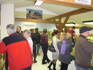 20120101_1202811711_sachen_132